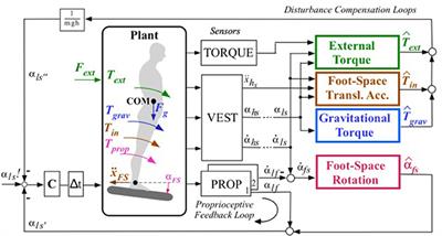 Human-Derived Disturbance Estimation and Compensation (DEC) Method Lends Itself to a Modular Sensorimotor Control in a Humanoid Robot